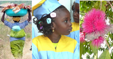 Soyez les bienvenus chez «&nbsp;Pro Kongo ya lobi&nbsp;», pour le Congo de demain